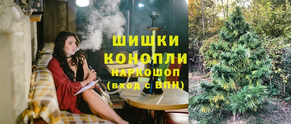 гашик Липки