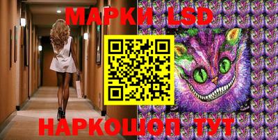 гашик Берёзовский