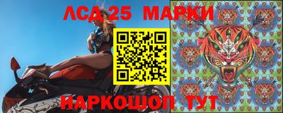 гашик Берёзовский
